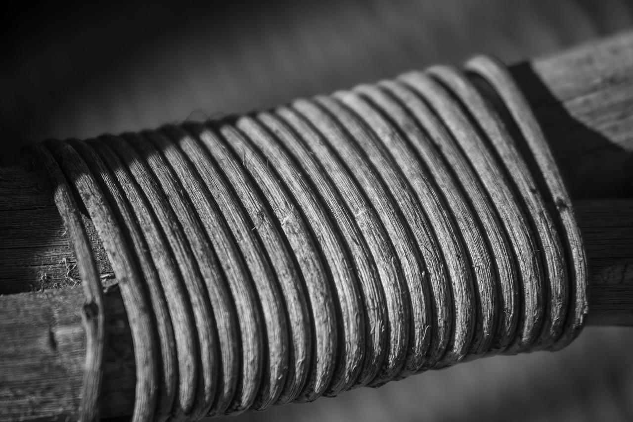 3. 竹林静谧居所