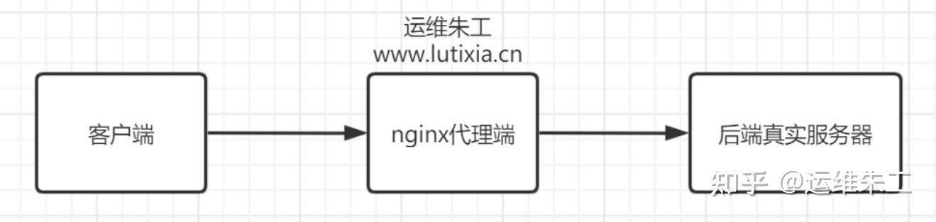 apa itu linux nginx