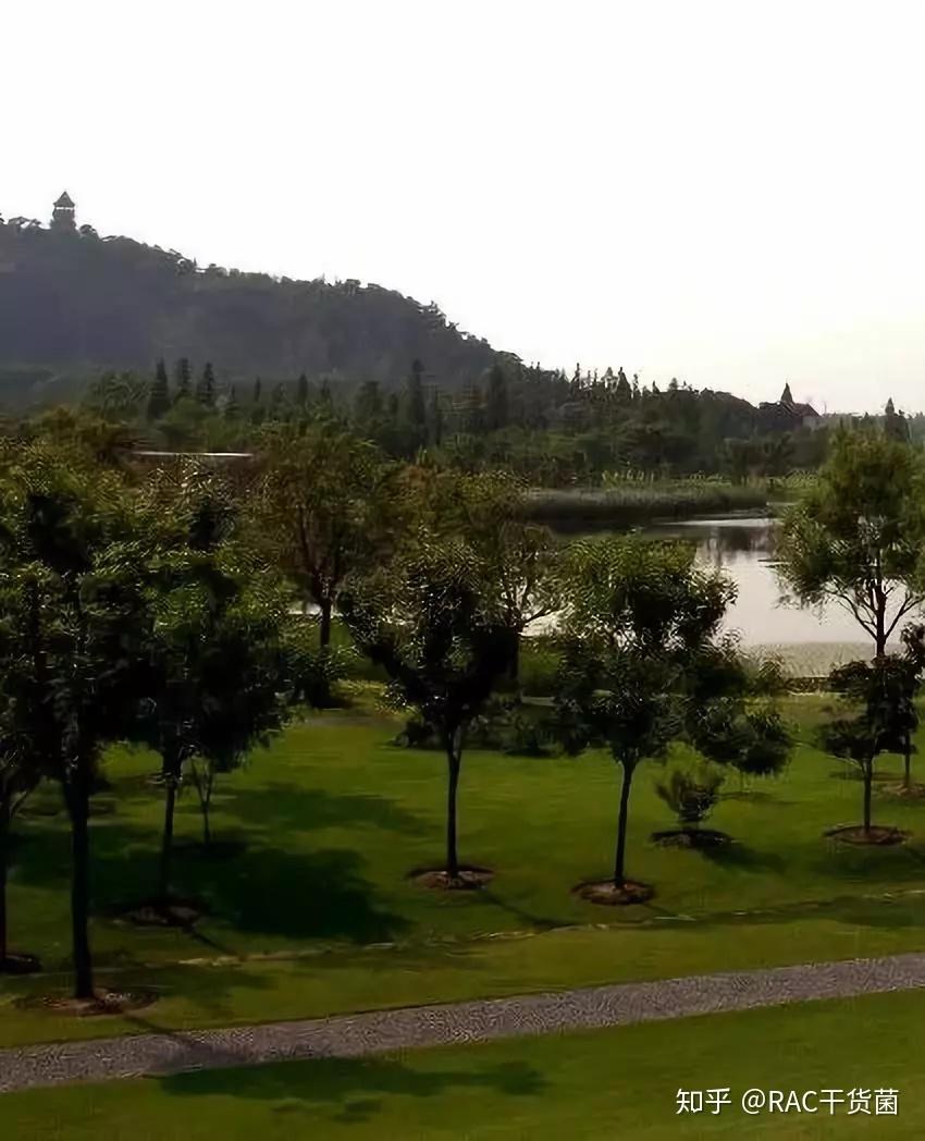 上海有哪些优秀的风景园林设计值得去考察学习