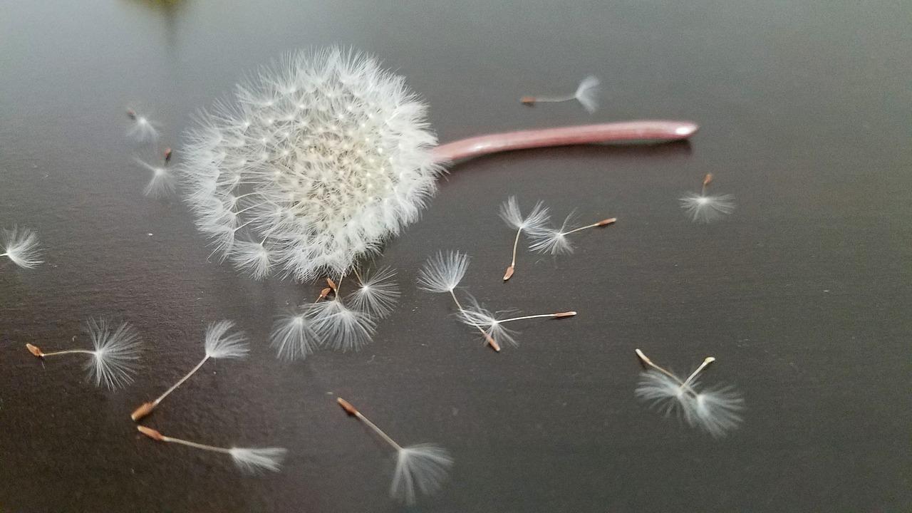 严谨求实:科学精神