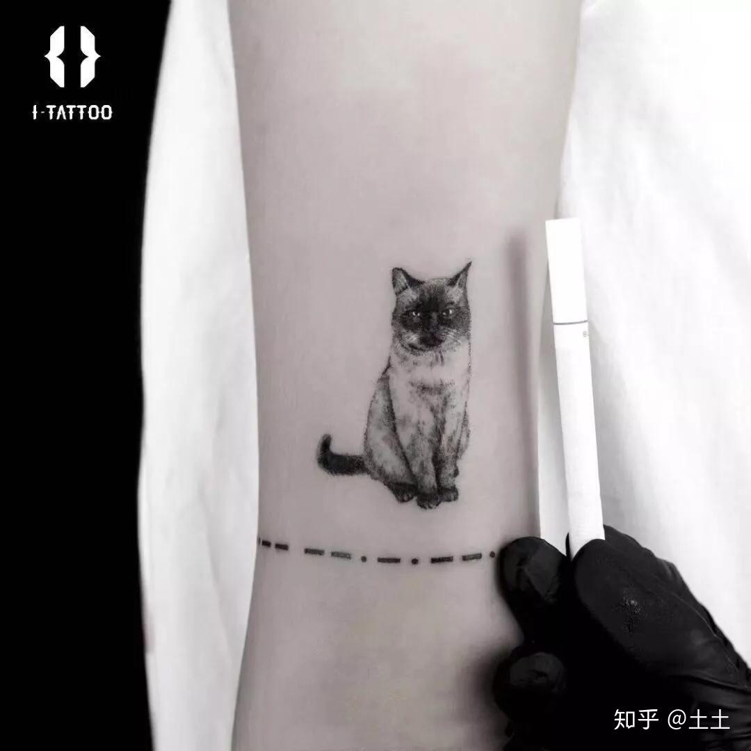侧腰黑灰猫咪纹身图案