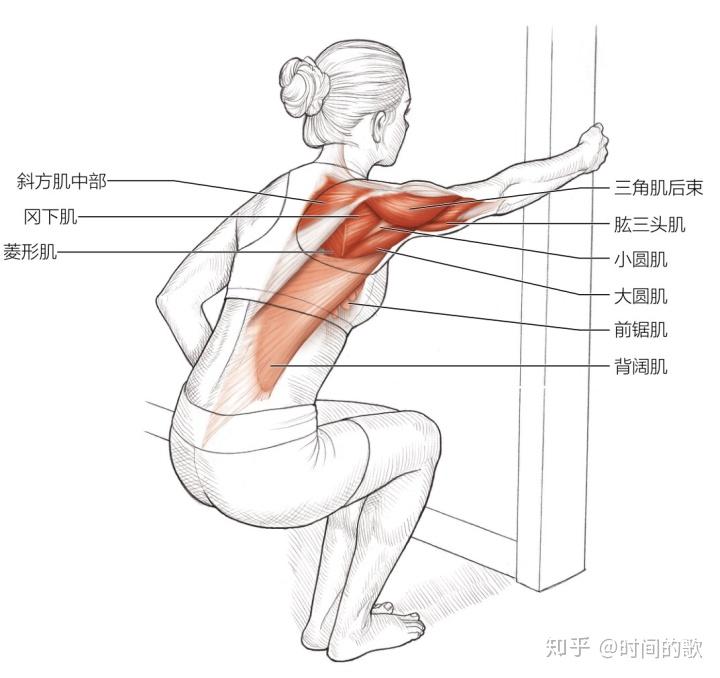 肱三头肌拉伸方法图解图片