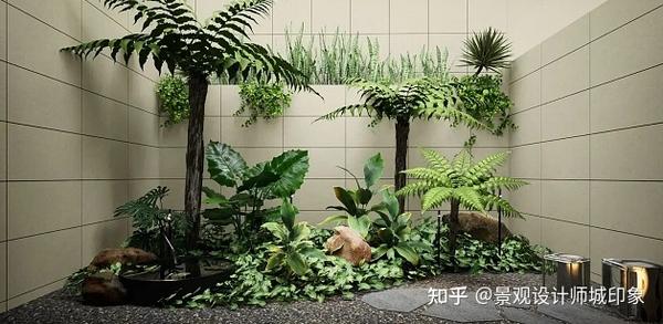 室内景观造景设计：打造完美的居家环境 - 知乎