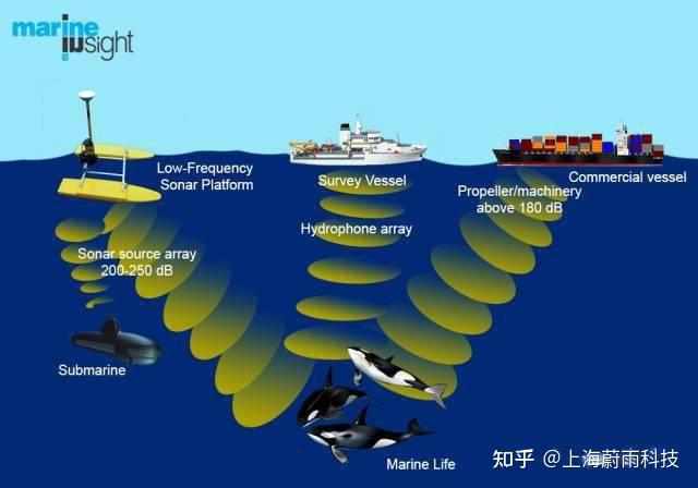 自容式水下噪声采集器—水下噪声对鱼类等海洋生物的影响 - 知乎