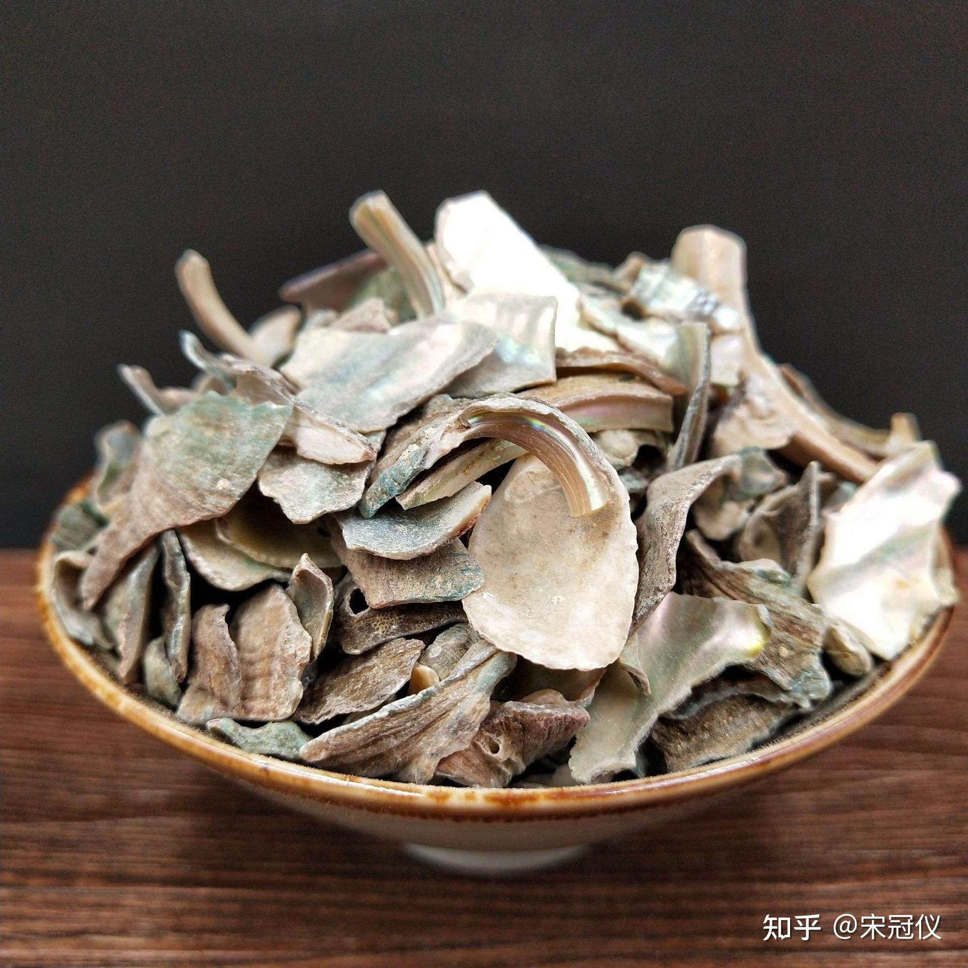 石决明药效和作用是什么? - 知乎