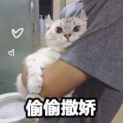 女生撒娇专用表情包,速速收藏! - 知乎