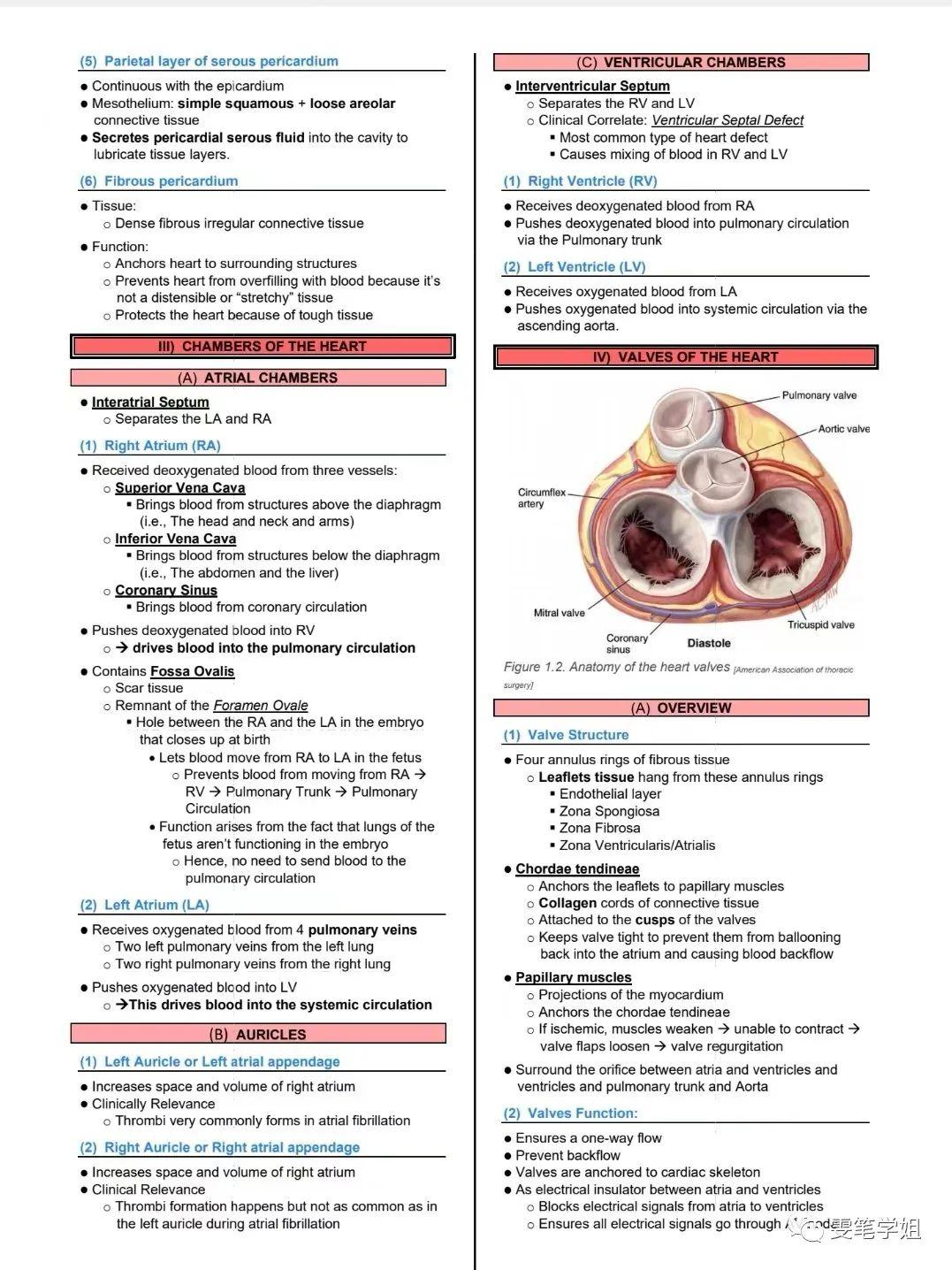 ninja-nerd-usmle-ninja-nerd-notes