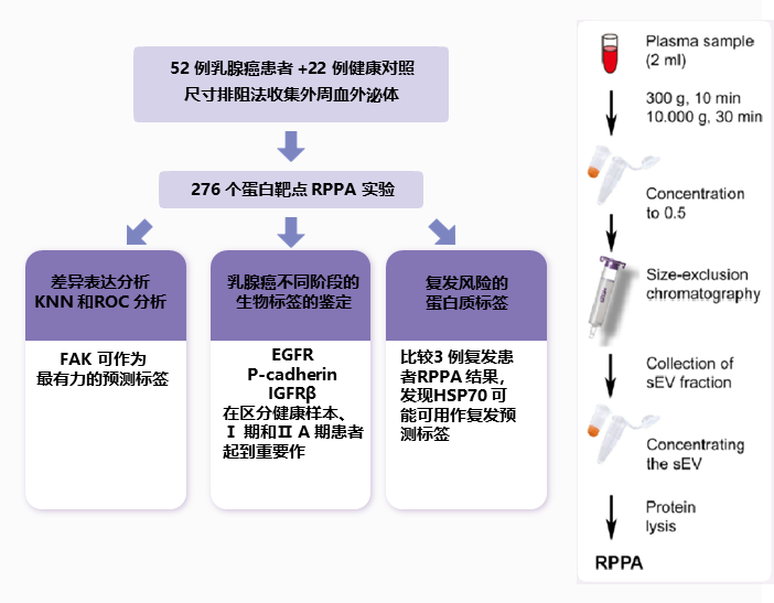 Levinsky Channel Rppa 非因蛋白组学应用篇 | RPPA蛋白组学技术在外泌体研究中的应用 - 知乎