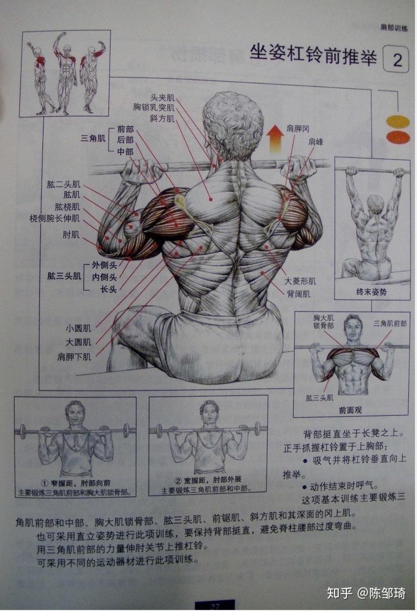 杠铃颈后推举是练什么部位的