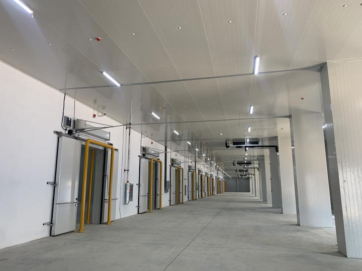 浅析现代钢结构冷库建设及施工管理 - 知乎