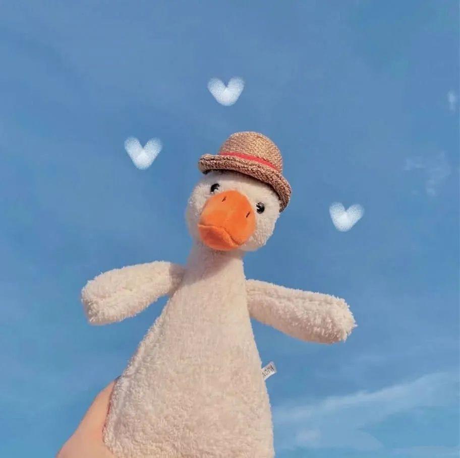 有什么看着很舒服的微信背景图