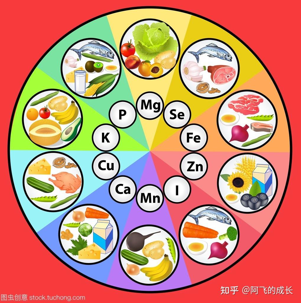 人體所需的營養物質都有哪些