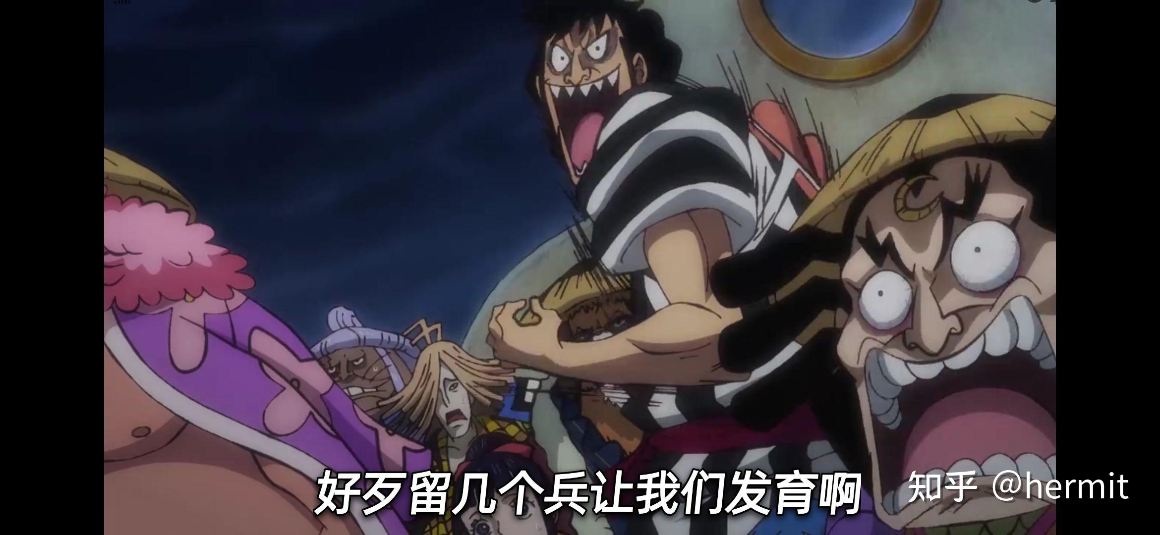 如何评价海贼王动画第982集