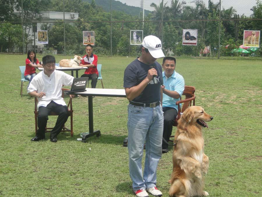 训犬讲堂第七课犬匍匐前进的训练 知乎 训犬讲堂第七课犬匍匐前进的训练 知乎