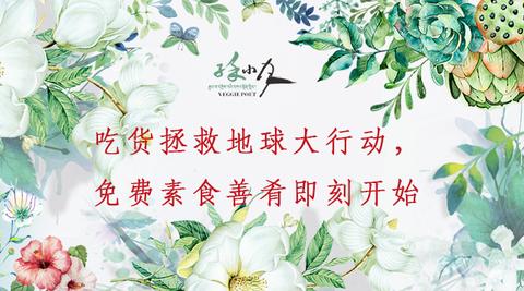 子禾小月 知乎 子禾小月 知乎