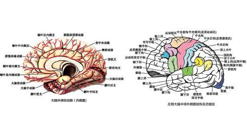 v2-b08f54b56ff61ee41bdccd1624d70bb7_1440w.jpg?source=172ae18b