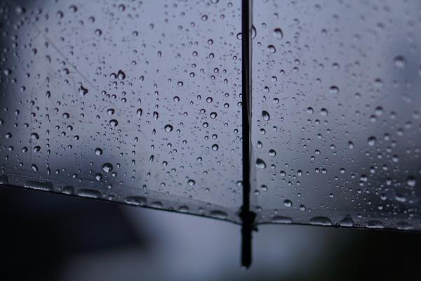 透明雨伞雨中背景图片图片