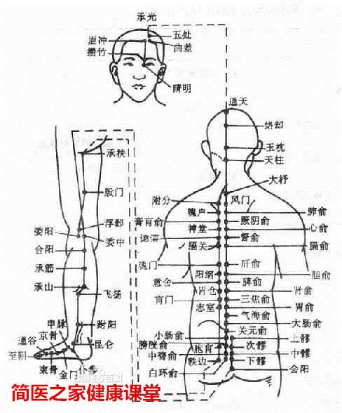 就像人体伴行的动脉和静脉它的流向是相反相对的,动脉血液从上流到下