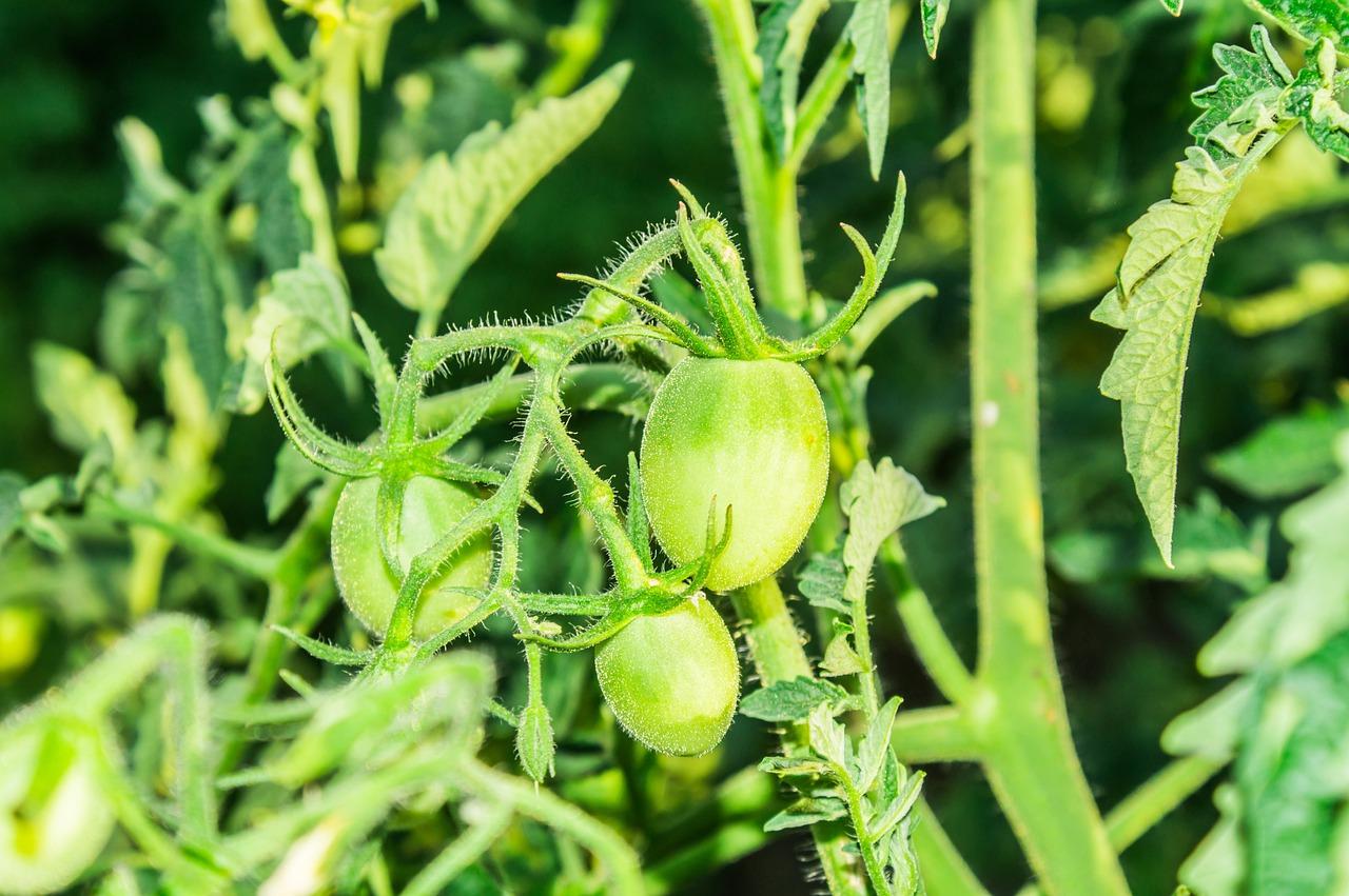 4. 财富增长路径