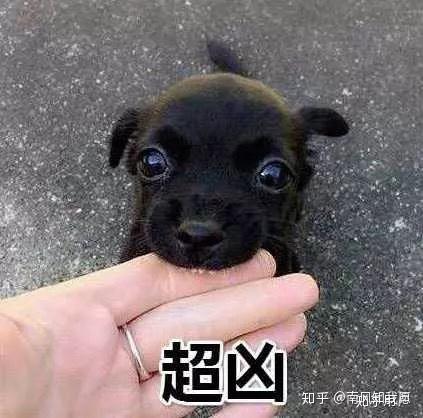 v2-b0b341a0b393b108ad3fd3870cc4a234_r.jpg