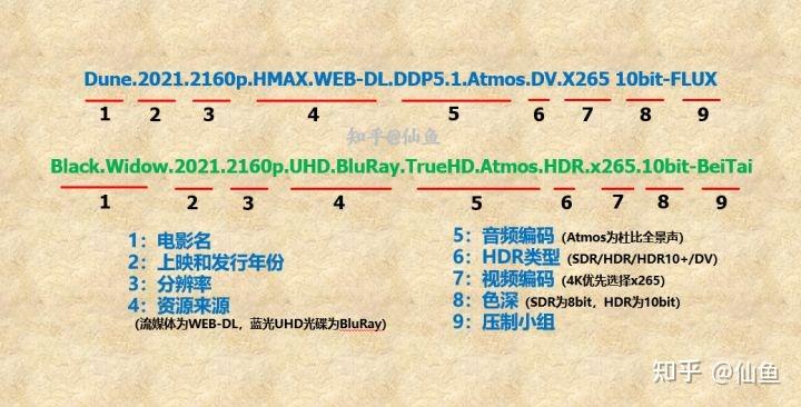 高清电影文件名中的“DTS-HD.MA.TrueHD.HDR.SDR.”是什么意思？