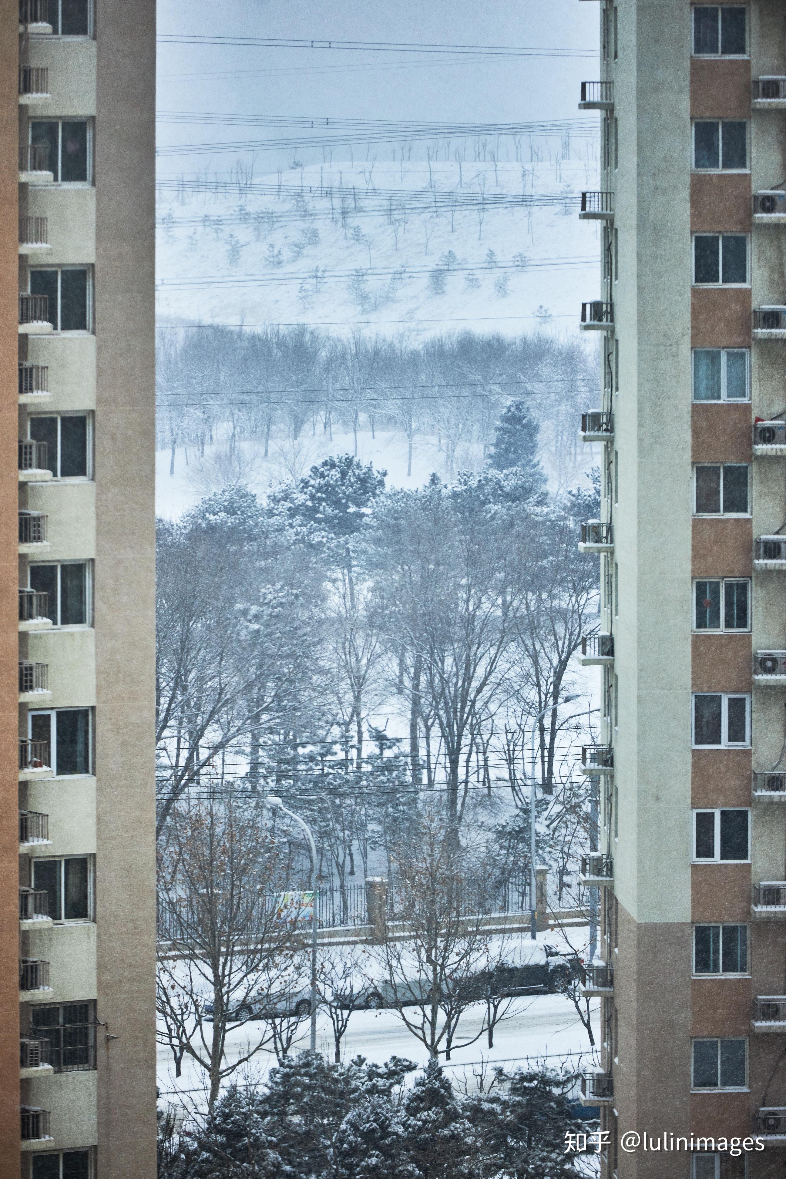 有哪些在自家小区拍出的雪景照片你认为很美?