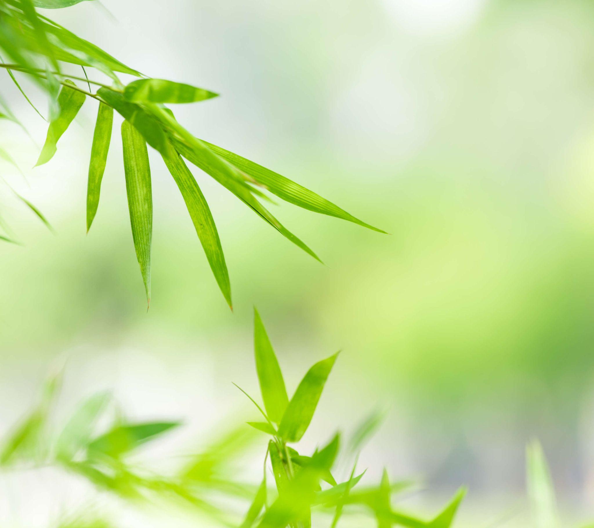 有什么干净清爽的壁纸?