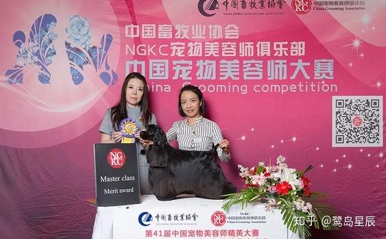 厦门宠匠国际美容黄宏毅 夺取美国intergroom国际宠物美容师大赛大奖 国内第一个获得此殊荣 知乎