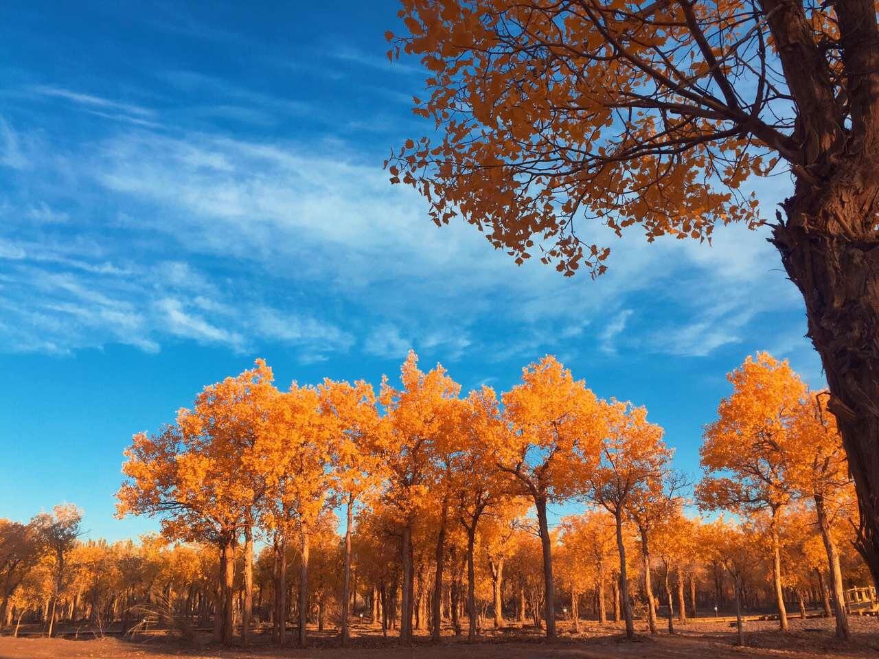 去内蒙旅游有哪些实用建议和攻略?