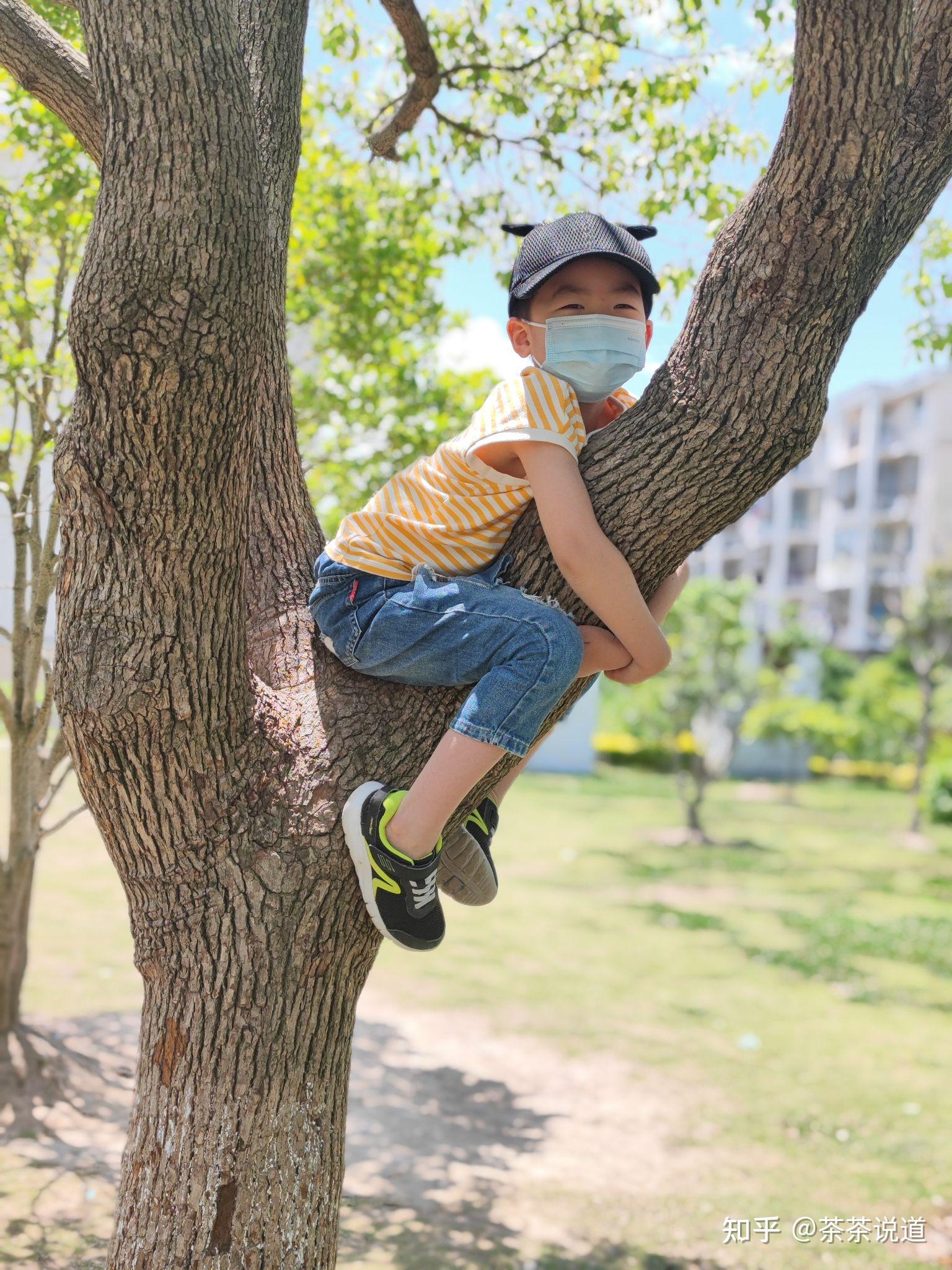 小孩爬树图片图片