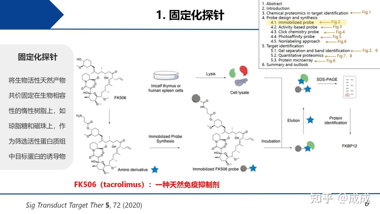 文献解读| 用化学蛋白质组学方法鉴定天然药物的靶标:探针合成、钓靶和蛋白质鉴定 - 知乎