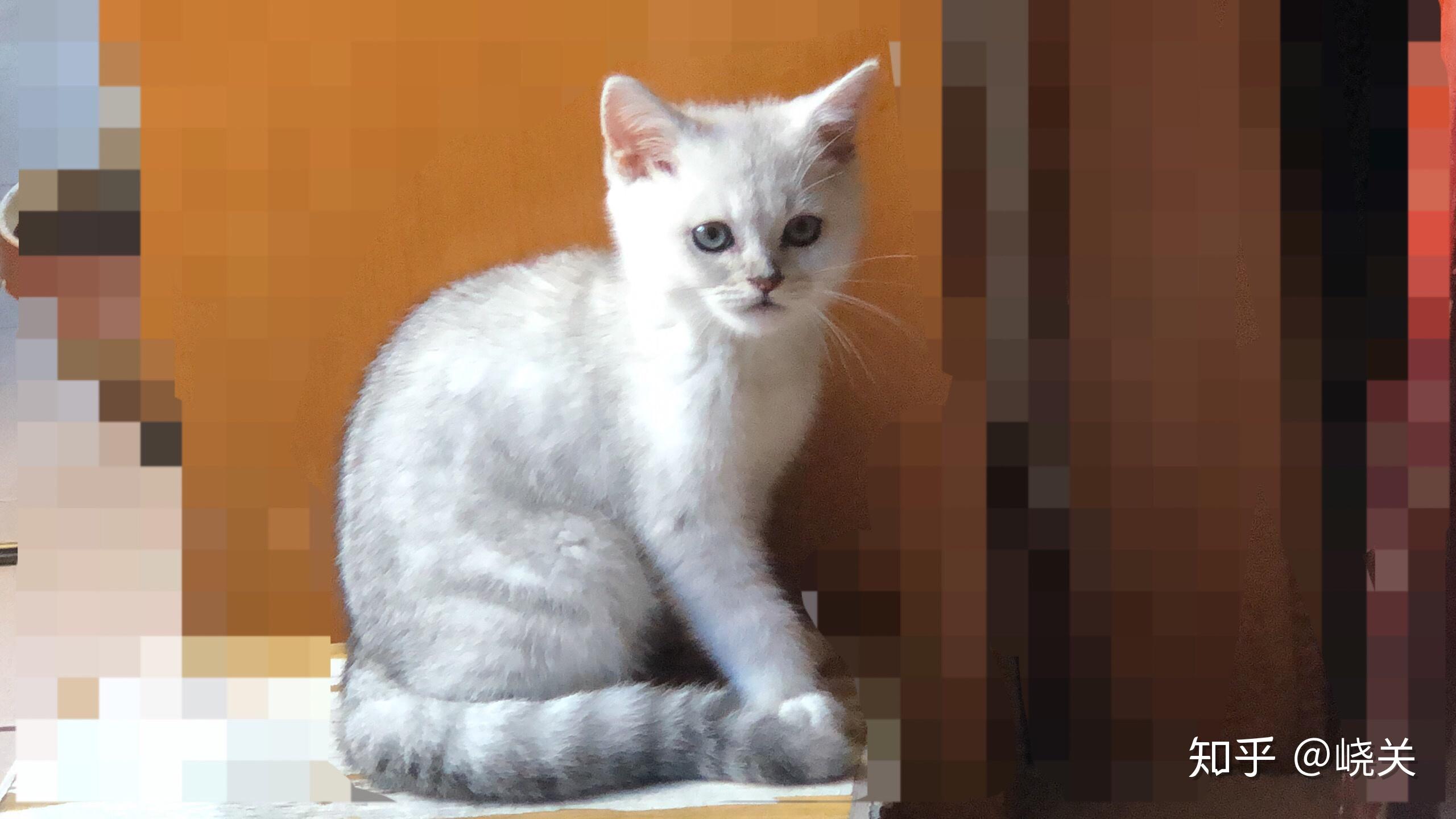 但当时就是一眼相中他了,可能这就是缘分吧.峣关