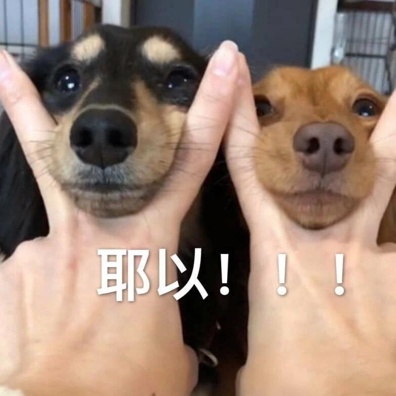 沙雕生气文案,沙雕生气文案图片