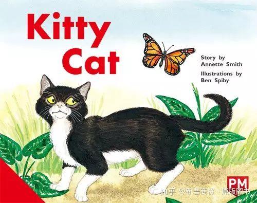 a mischievous little cat and an older grumpy cat called fat cat