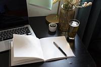 写作新手三大困惑(一)