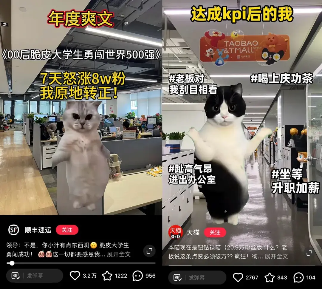 猫meme走红，赛博时代的“情绪消化剂” - 知乎