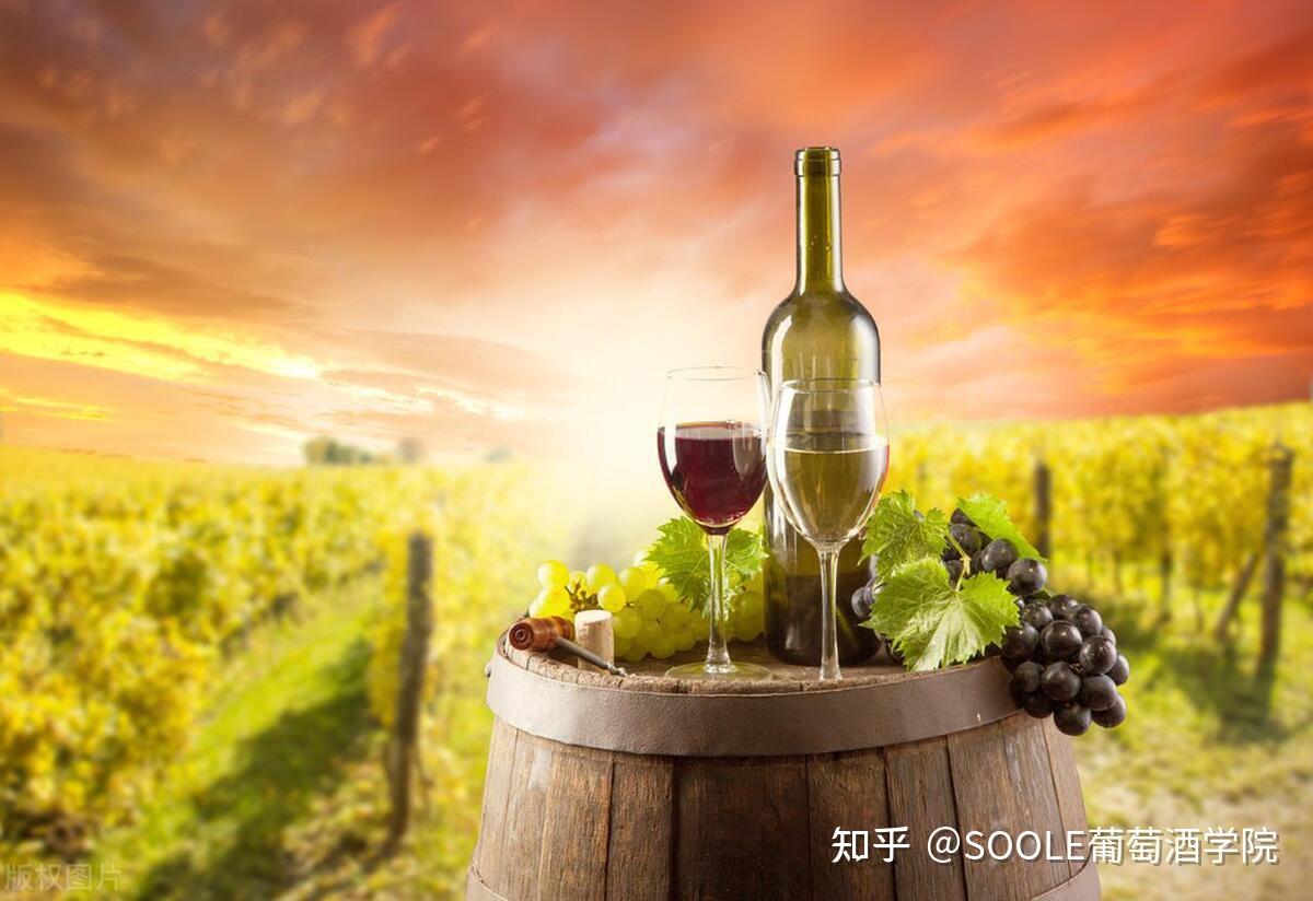 Soole课堂:一文看懂德国葡萄酒品种、产区、分级 - 知乎