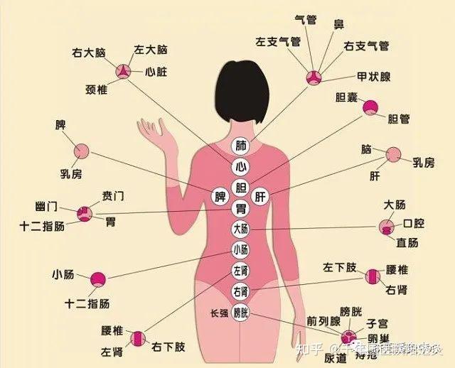 灸背1次和10次,差别真大!因为痛就不坚持的亏大了!