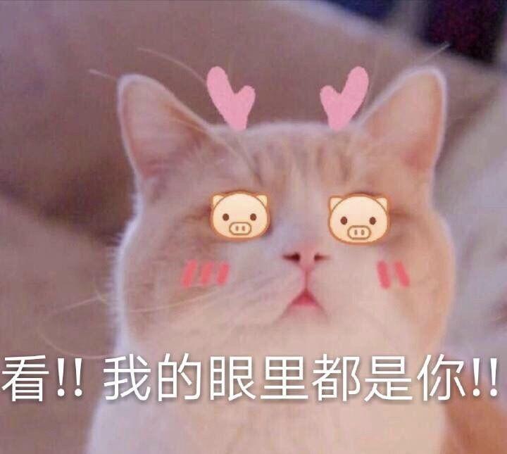 有什么撩女生的情话和表情包
