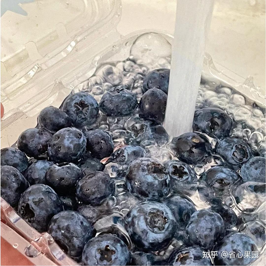 超好喝的冰饮推荐：蓝莓气泡玫瑰酿，黄瓜青柠气泡水，香橙冰咖啡