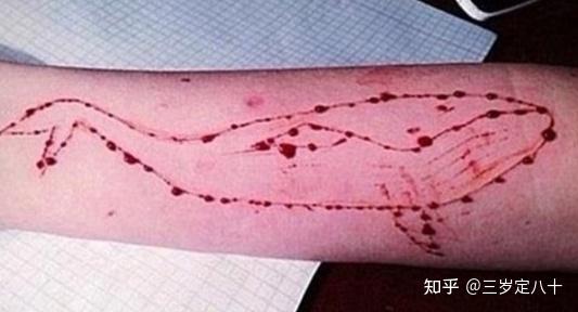 三亚一红衣女子疑似因拍视频从高楼坠落警方通报称房内留有遗书还有