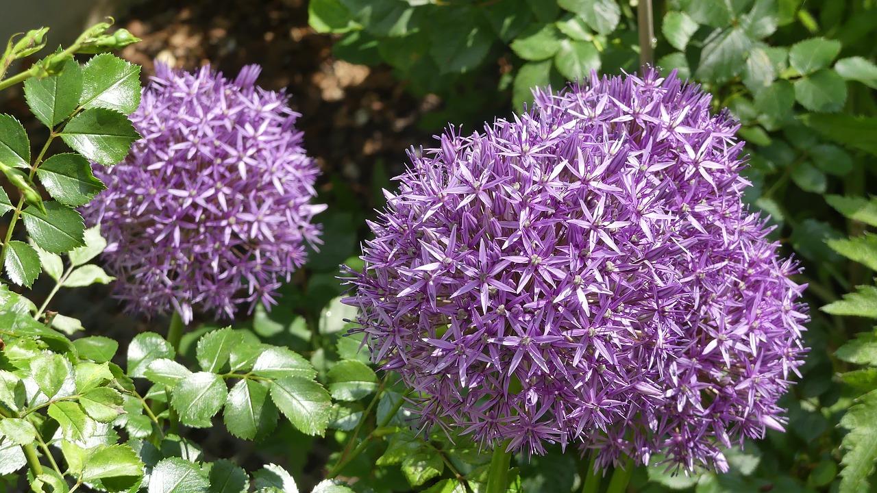 2. 装饰风格解析