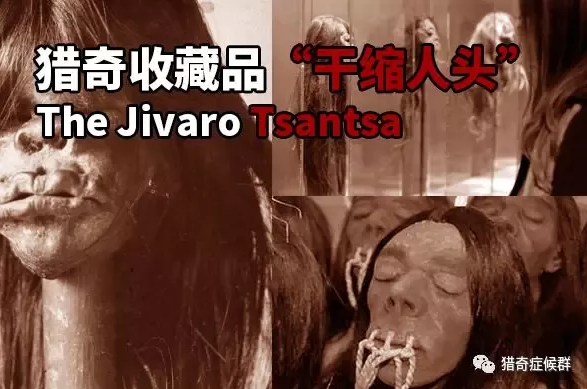 黑视界猎奇收藏品干缩人头的前世今生