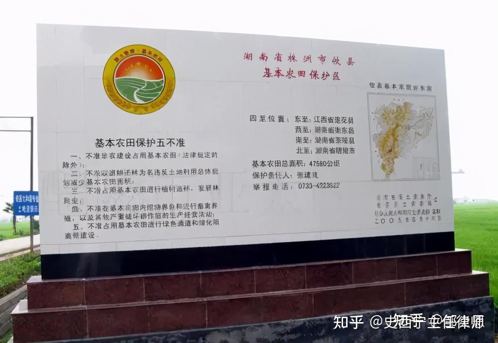 永久基本农田上到底能干啥