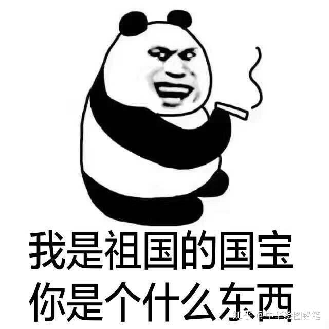 v2-b13a6f5893d1f5fbabc92e9214165704_r.jpg