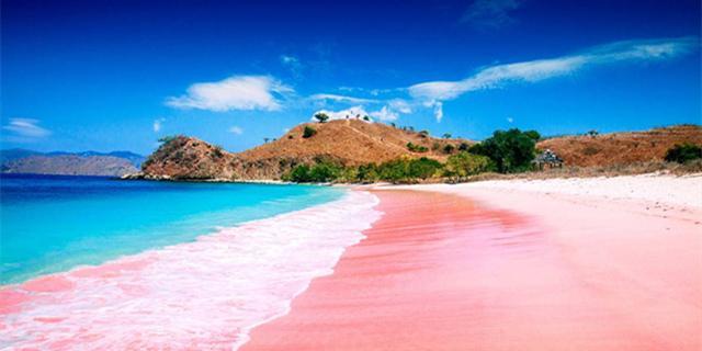 春节想出国游,时间5.6天,三个大人,一个8个月大