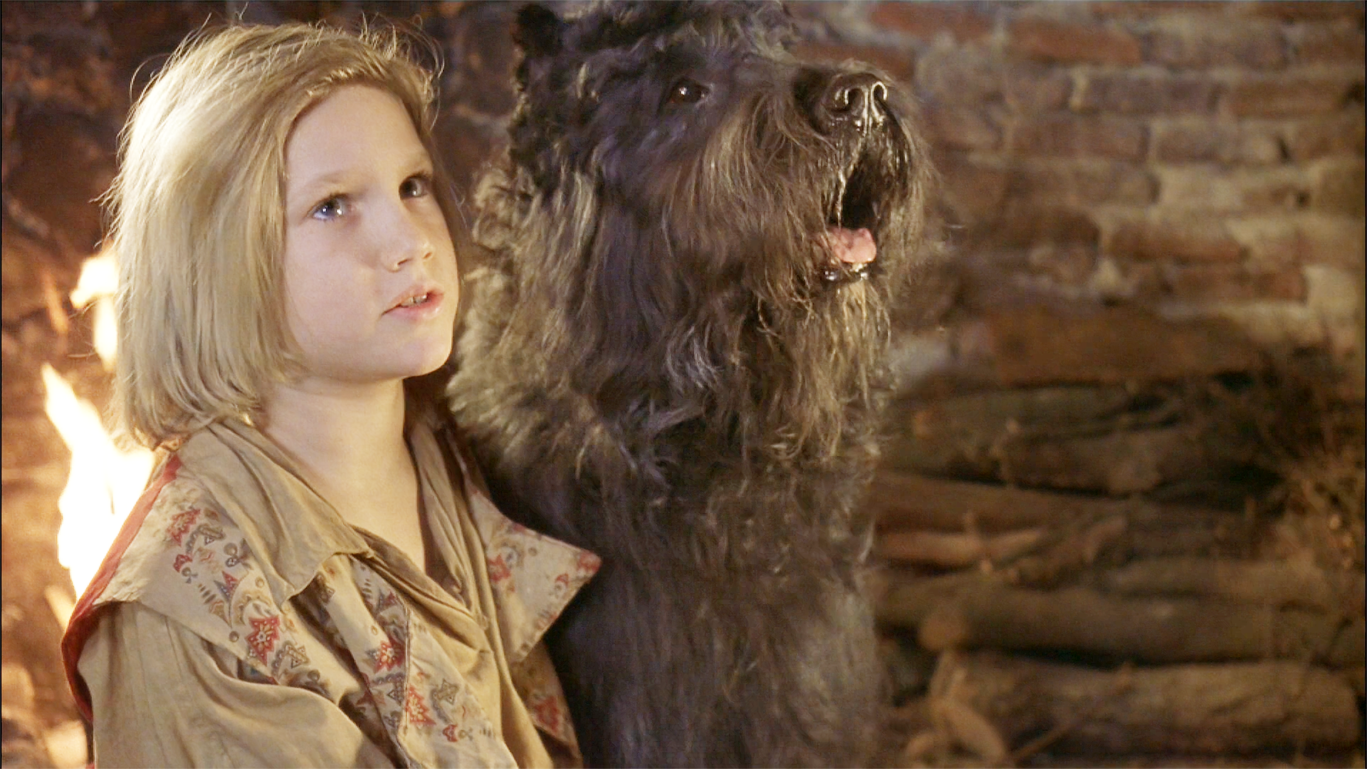 义犬报恩大火使我失去了所有唯独你一直守护在我身边不离不弃