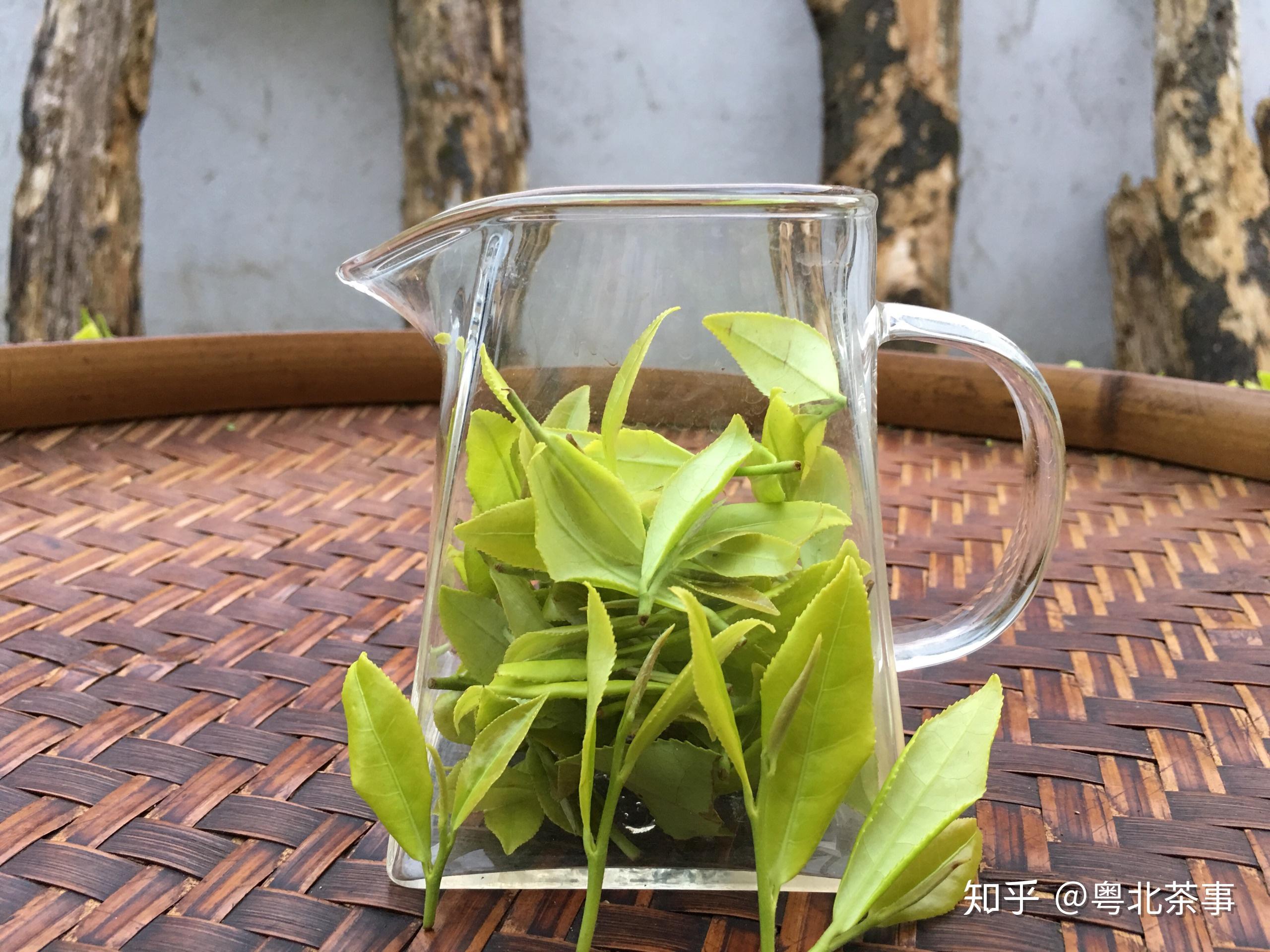 有缘千里会茶友你是否与茶有缘