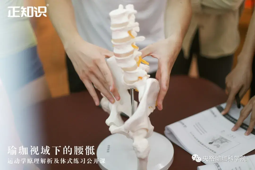 快来看看大家都学了什么好东西