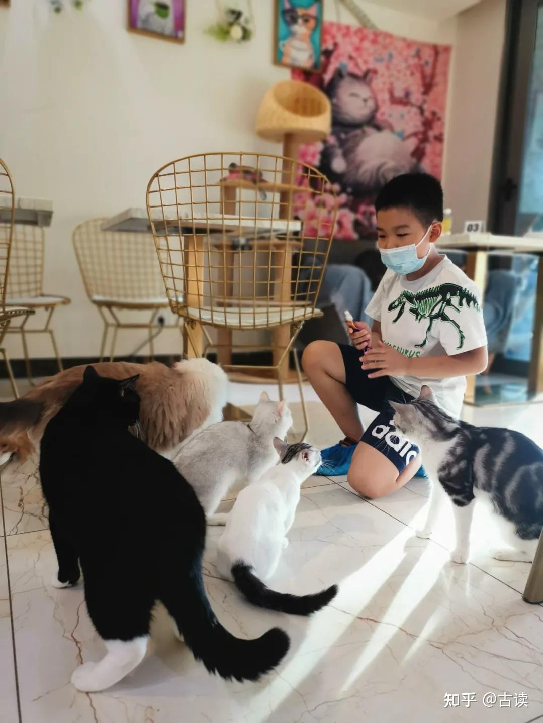 我想知道大家都是为了什么而努力生活呀?